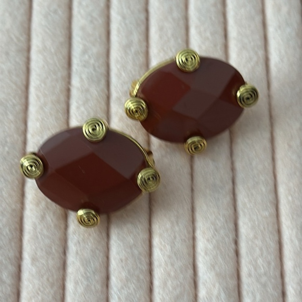 Vintage Gold and Brown Turtle Earrings